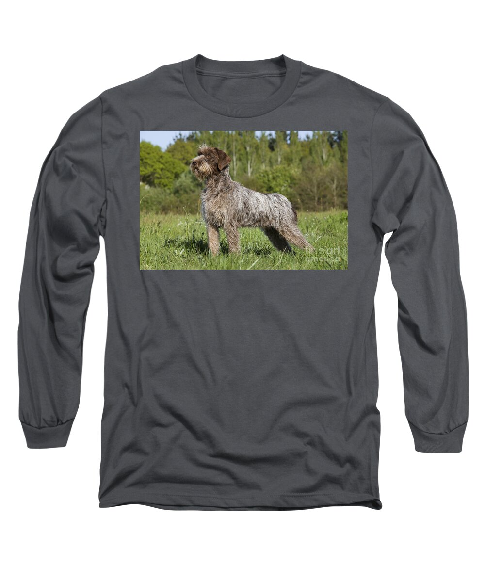 Dog Long Sleeve T-Shirt featuring the photograph Wire-haired Pointing Griffon #3 by Jean-Michel Labat