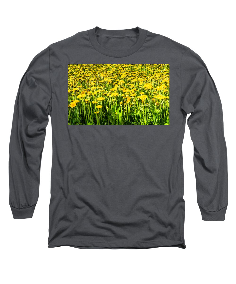Landscape Long Sleeve T-Shirt featuring the photograph Yellow dandelions #3 by Michael Goyberg