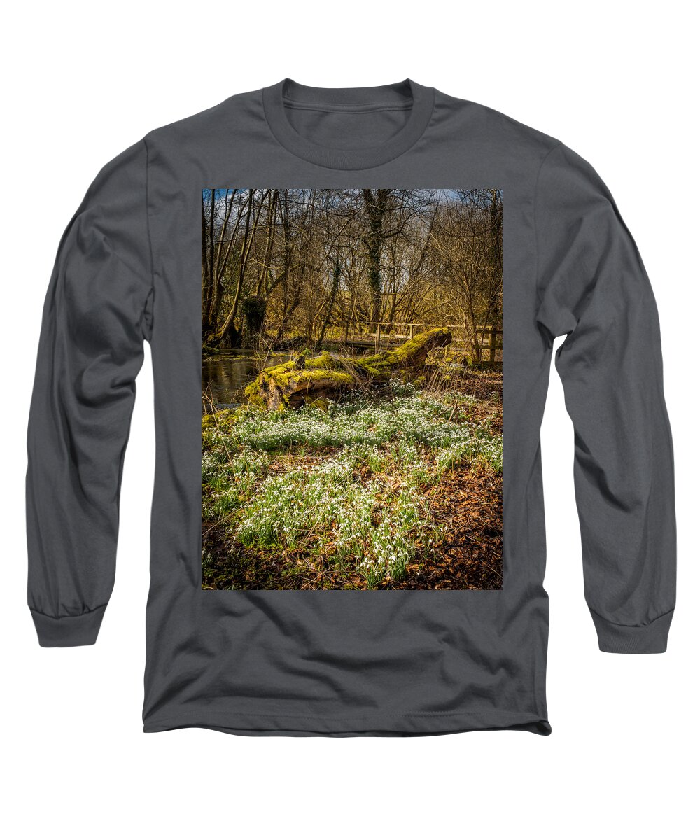 Berkshire Long Sleeve T-Shirt featuring the photograph Snowdrop Woods #5 by Mark Llewellyn