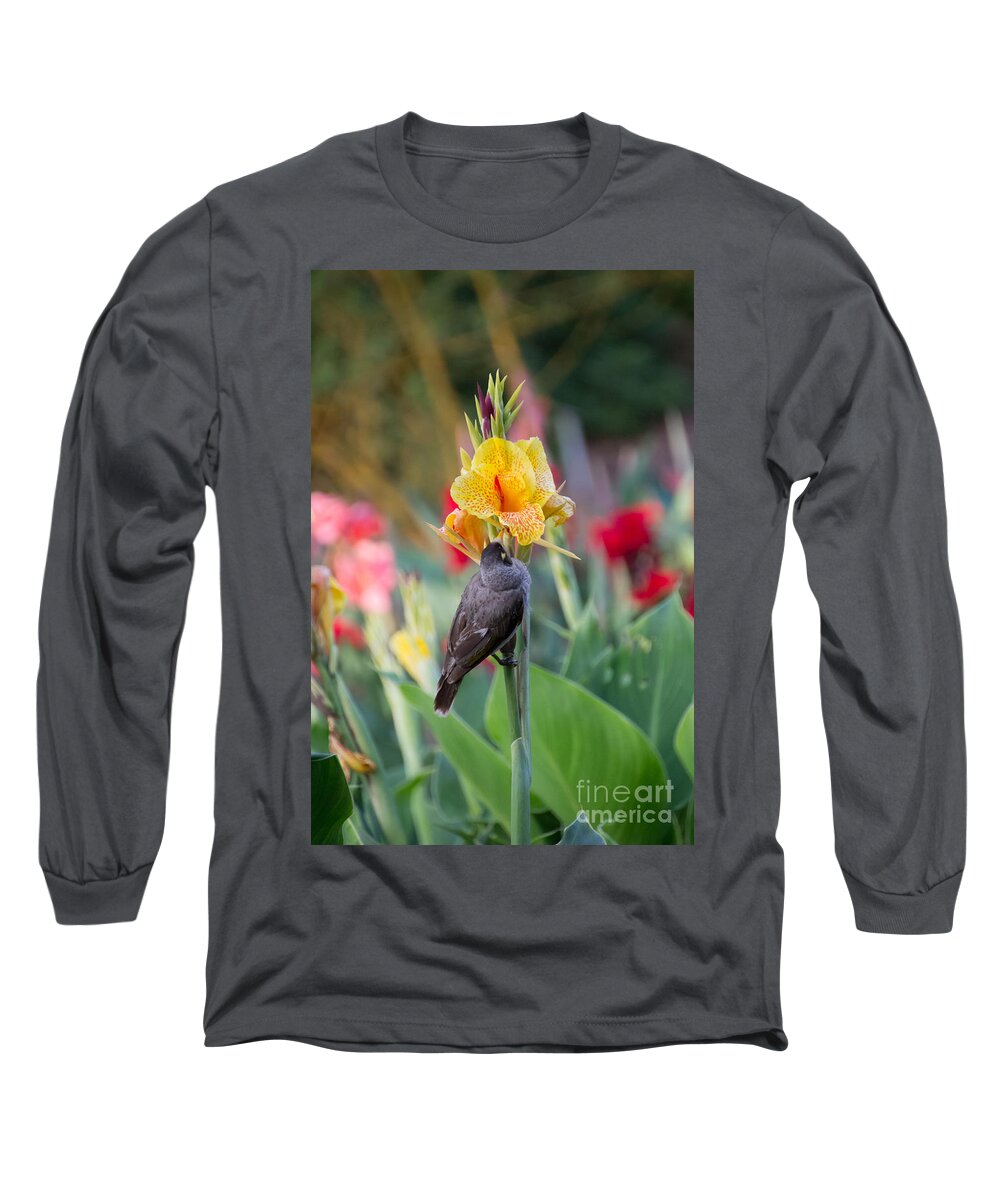 Australia Long Sleeve T-Shirt featuring the photograph A bird on iris by Agnes Caruso