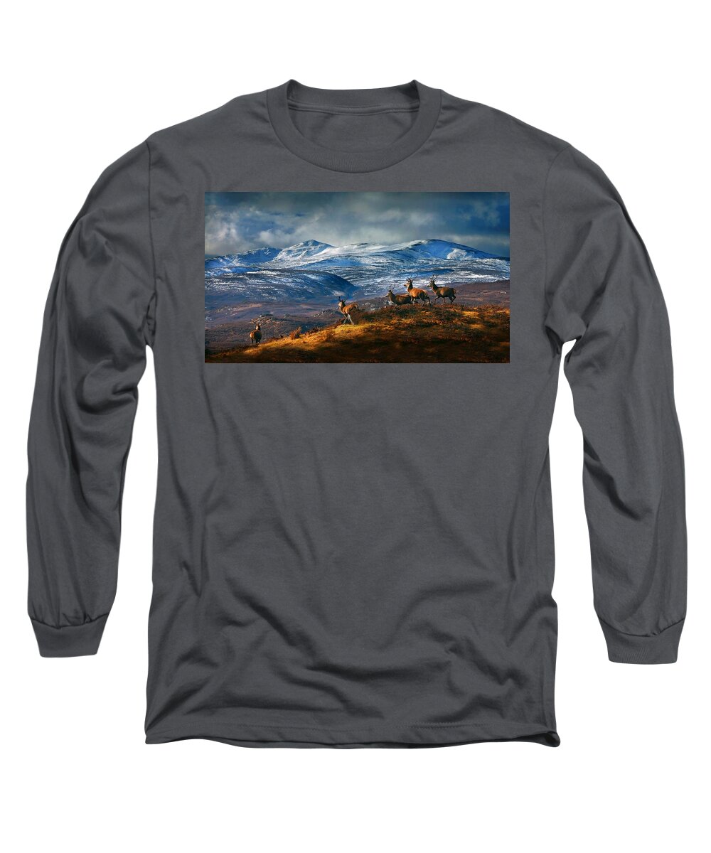 Stags Long Sleeve T-Shirt featuring the photograph Above Strathglass by Gavin Macrae