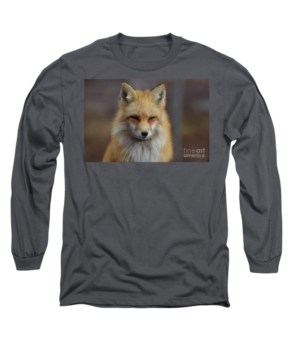 Fox Long Sleeve T-Shirt featuring the photograph Adorable Red Fox by DejaVu Designs