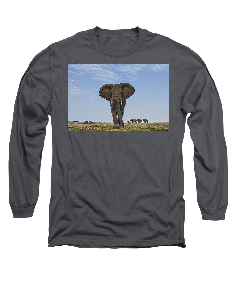 Vincent Grafhorst Long Sleeve T-Shirt featuring the photograph African Elephant Female On Defensive by Vincent Grafhorst