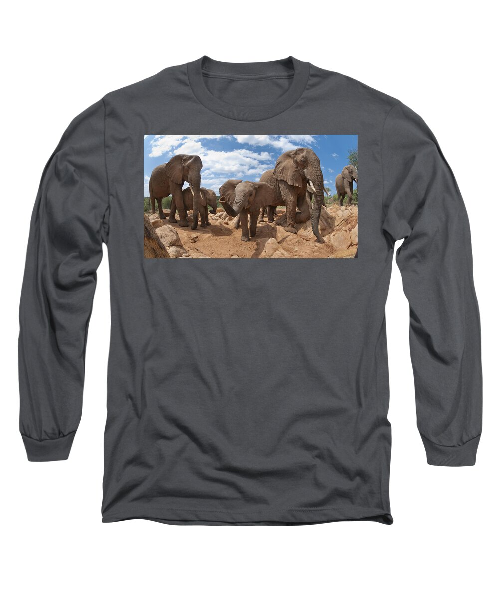 Feb0514 Long Sleeve T-Shirt featuring the photograph African Elephant Herd Kenya by Tui De Roy