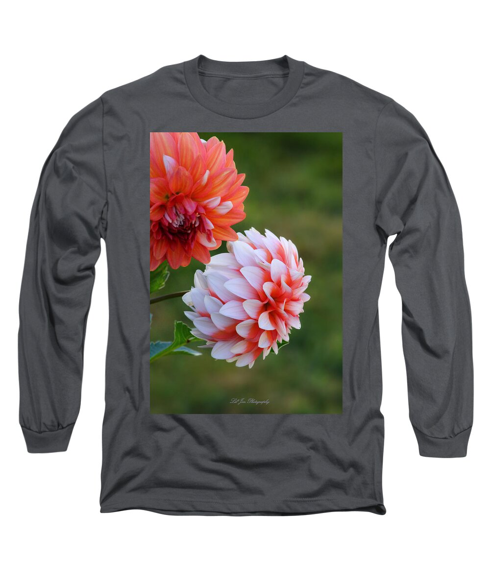 Dahlia Long Sleeve T-Shirt featuring the photograph Ala Mode Dahlias by Jeanette C Landstrom