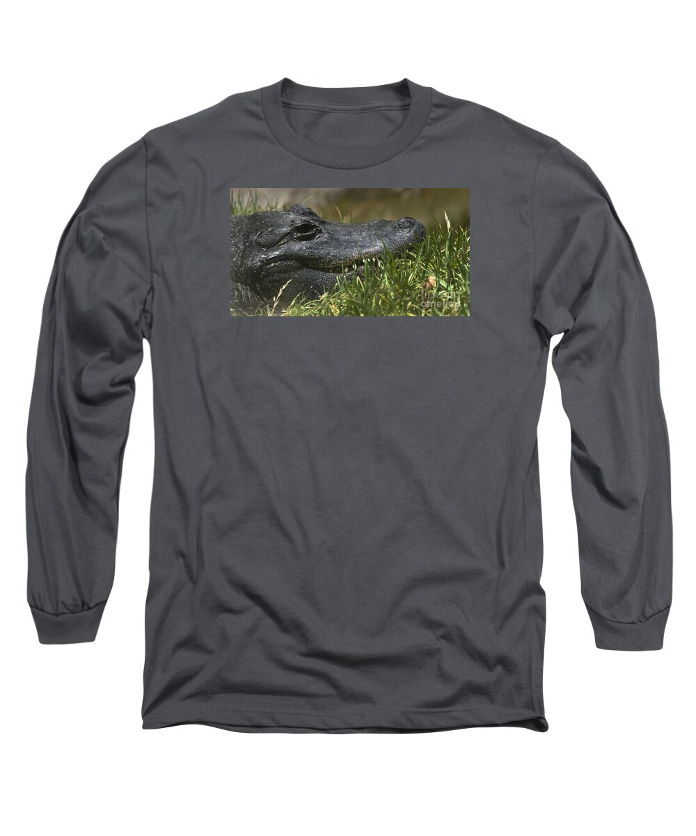  American Alligator Long Sleeve T-Shirt featuring the photograph American Alligator Closeup by David Millenheft