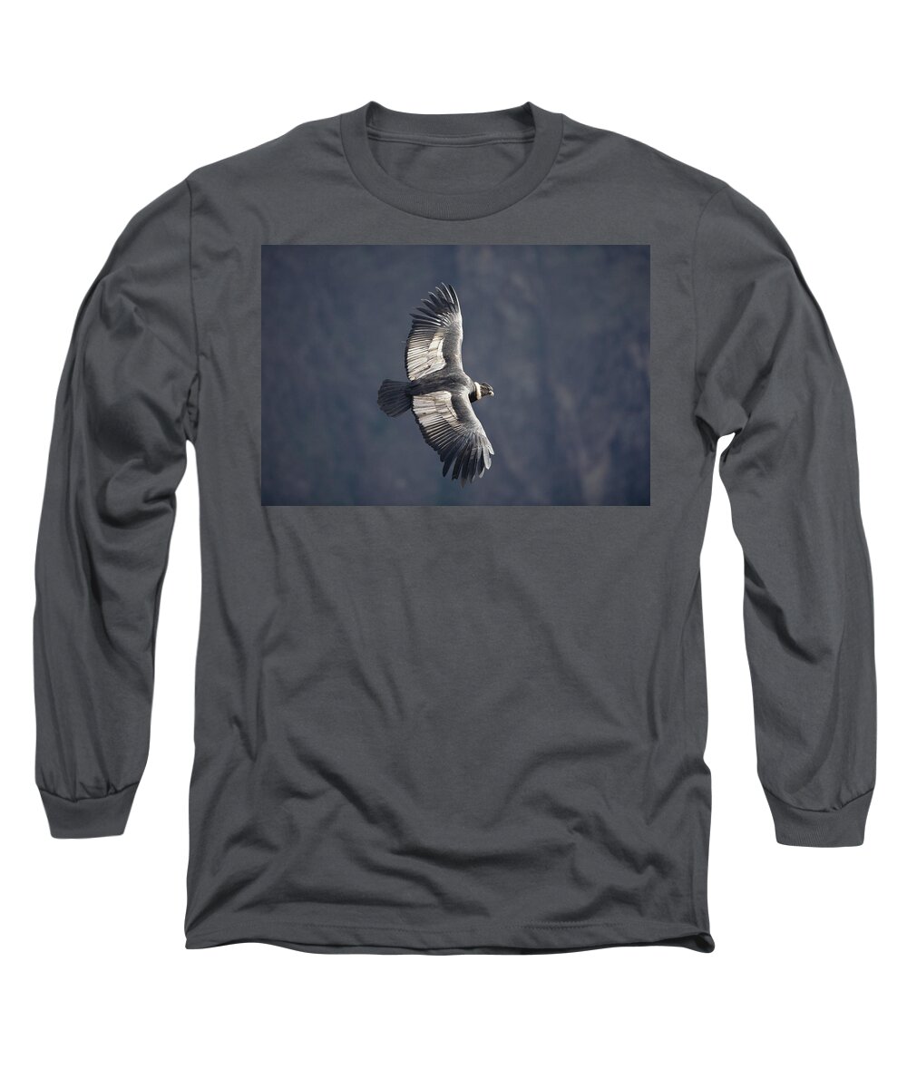 Feb0514 Long Sleeve T-Shirt featuring the photograph Andean Condor Riding Thermal Updraft by Tui De Roy