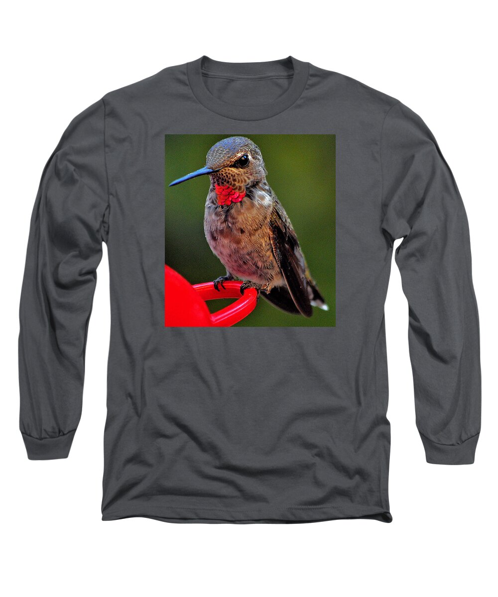 Hummingbird Long Sleeve T-Shirt featuring the photograph Anna's With Red Necklace by Jay Milo
