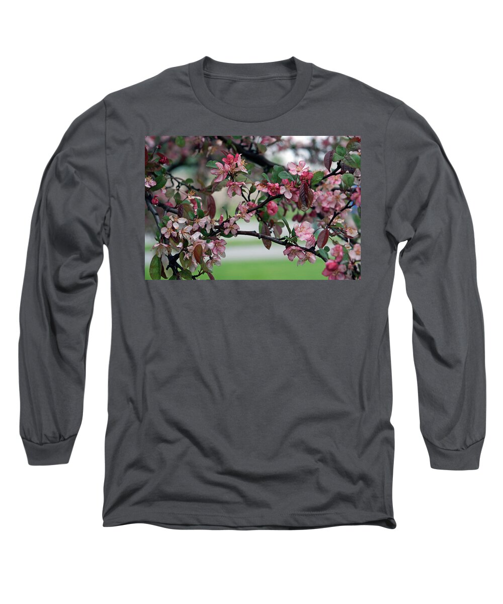 Spring Long Sleeve T-Shirt featuring the photograph Apple Blossom Time by Kay Novy