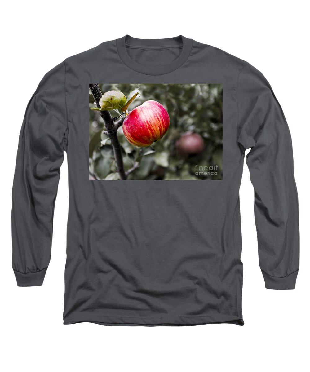 Apples Long Sleeve T-Shirt featuring the photograph Apple by Steven Ralser