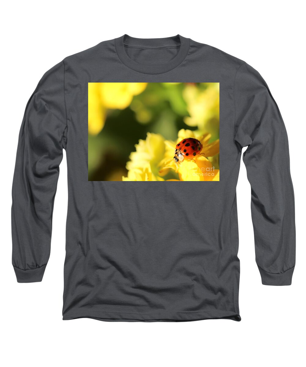 Red Long Sleeve T-Shirt featuring the photograph Asian Lady Beetle by Amanda Mohler