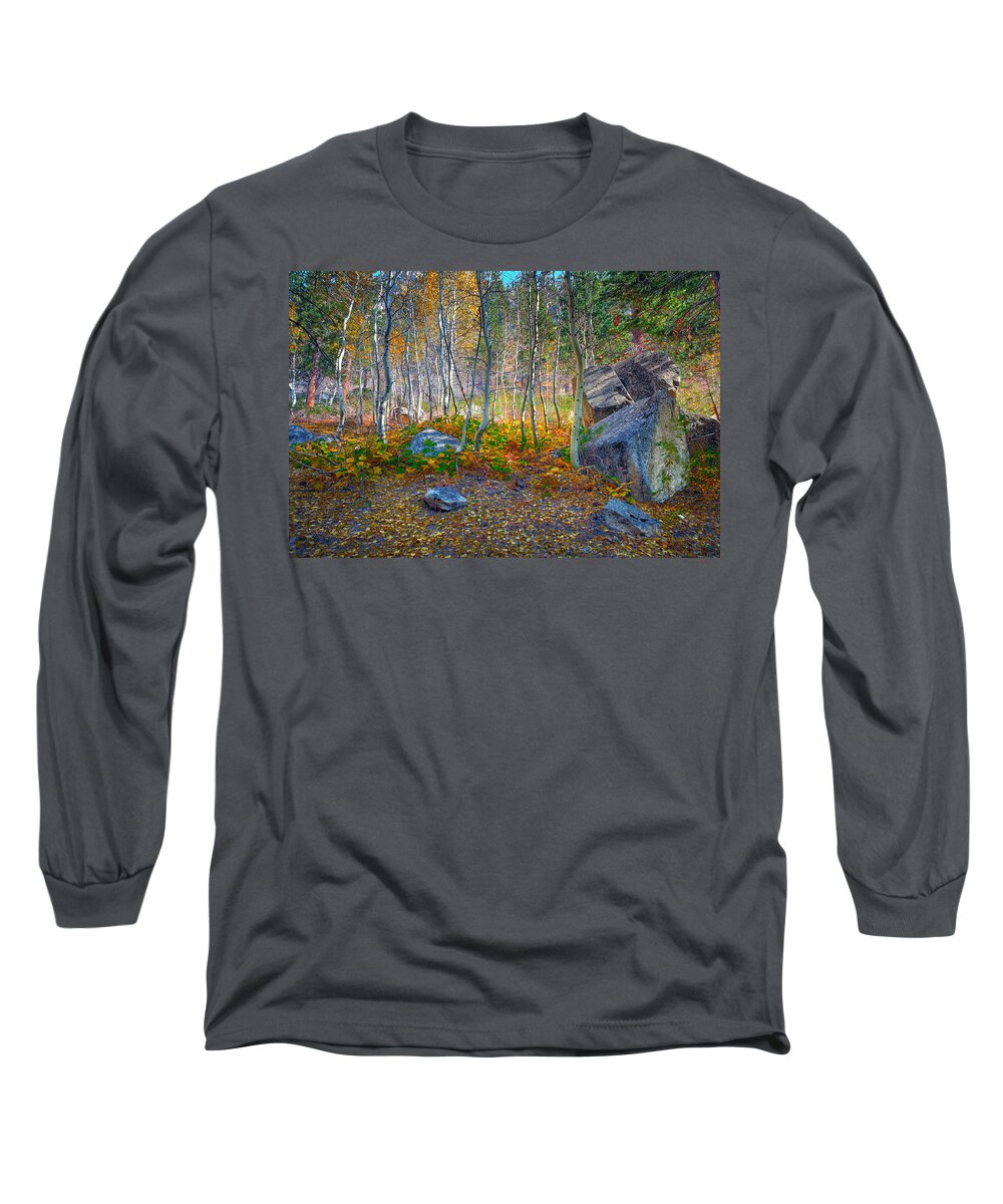 Aspen Long Sleeve T-Shirt featuring the photograph Aspen Grove by Jim Thompson