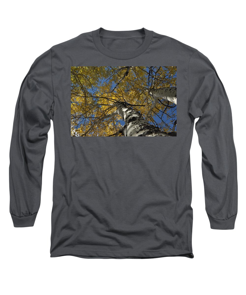 Gold Long Sleeve T-Shirt featuring the photograph Fall Aspen #2 by Frank Madia
