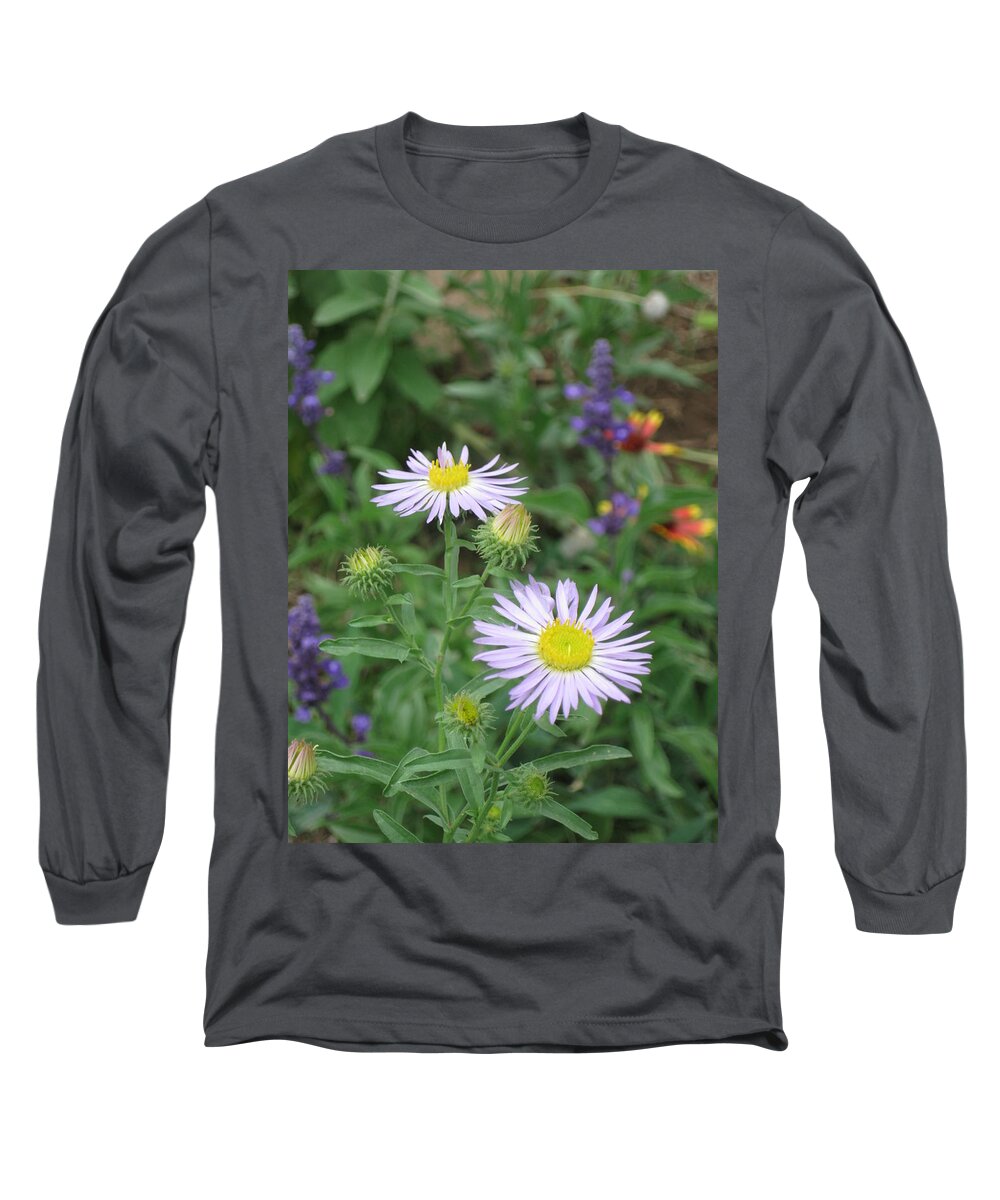 Asters Long Sleeve T-Shirt featuring the photograph Asters in close-up by Ron Monsour