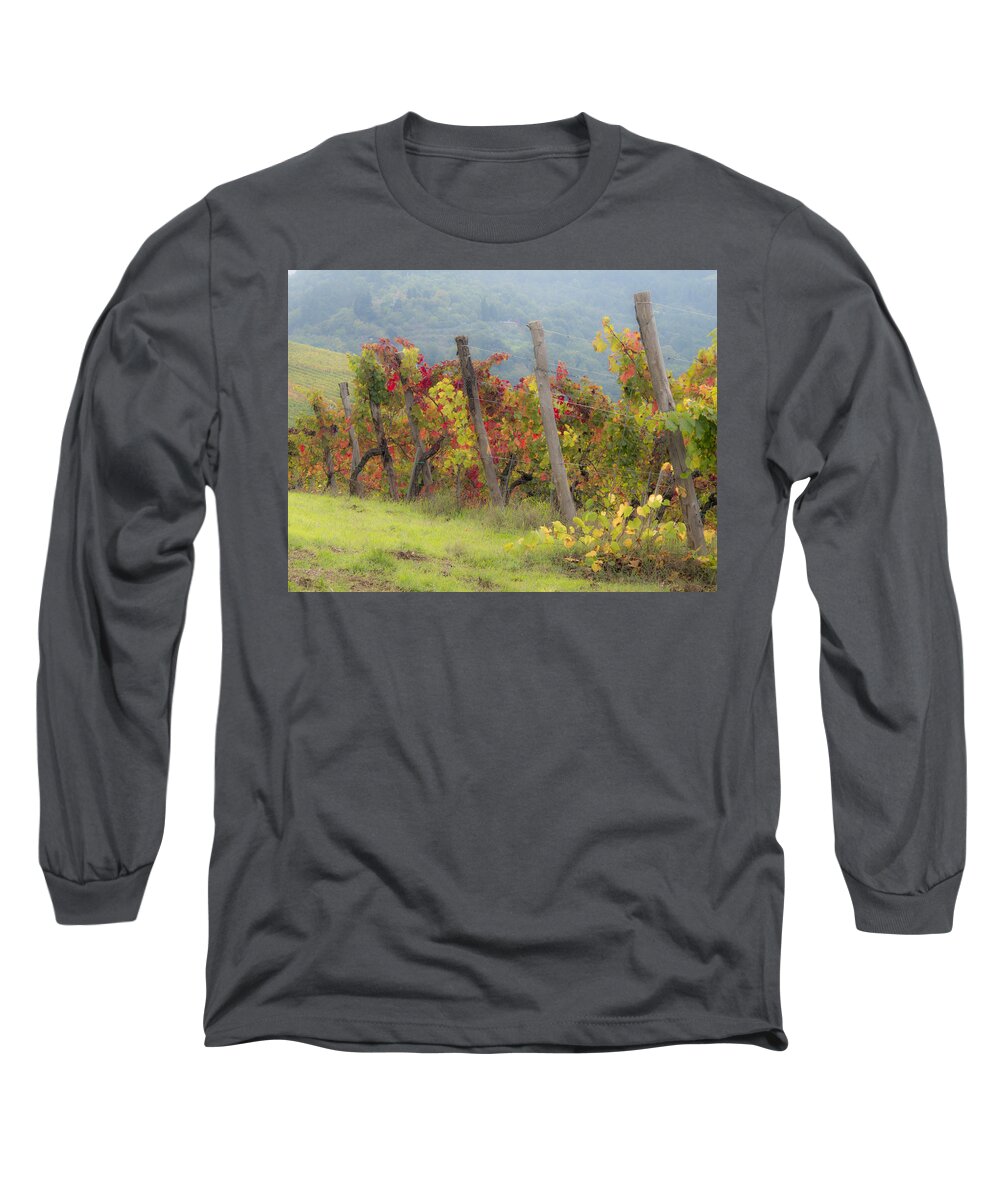 Agriculture Long Sleeve T-Shirt featuring the photograph Autumn vineyard by Eggers Photography