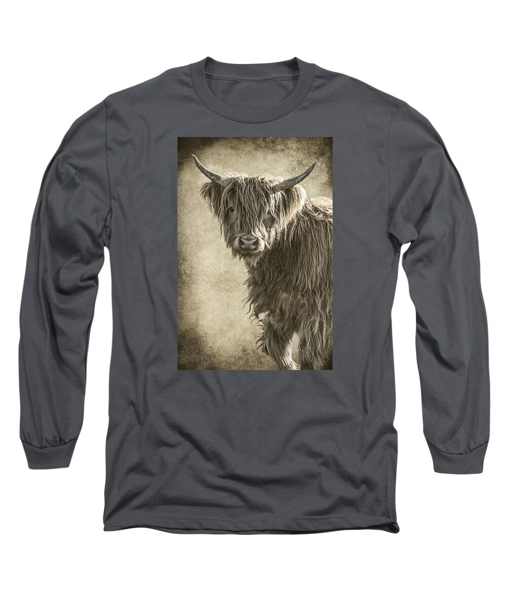 Baby Highland Long Sleeve T-Shirt featuring the photograph Baby Highland by Wes and Dotty Weber