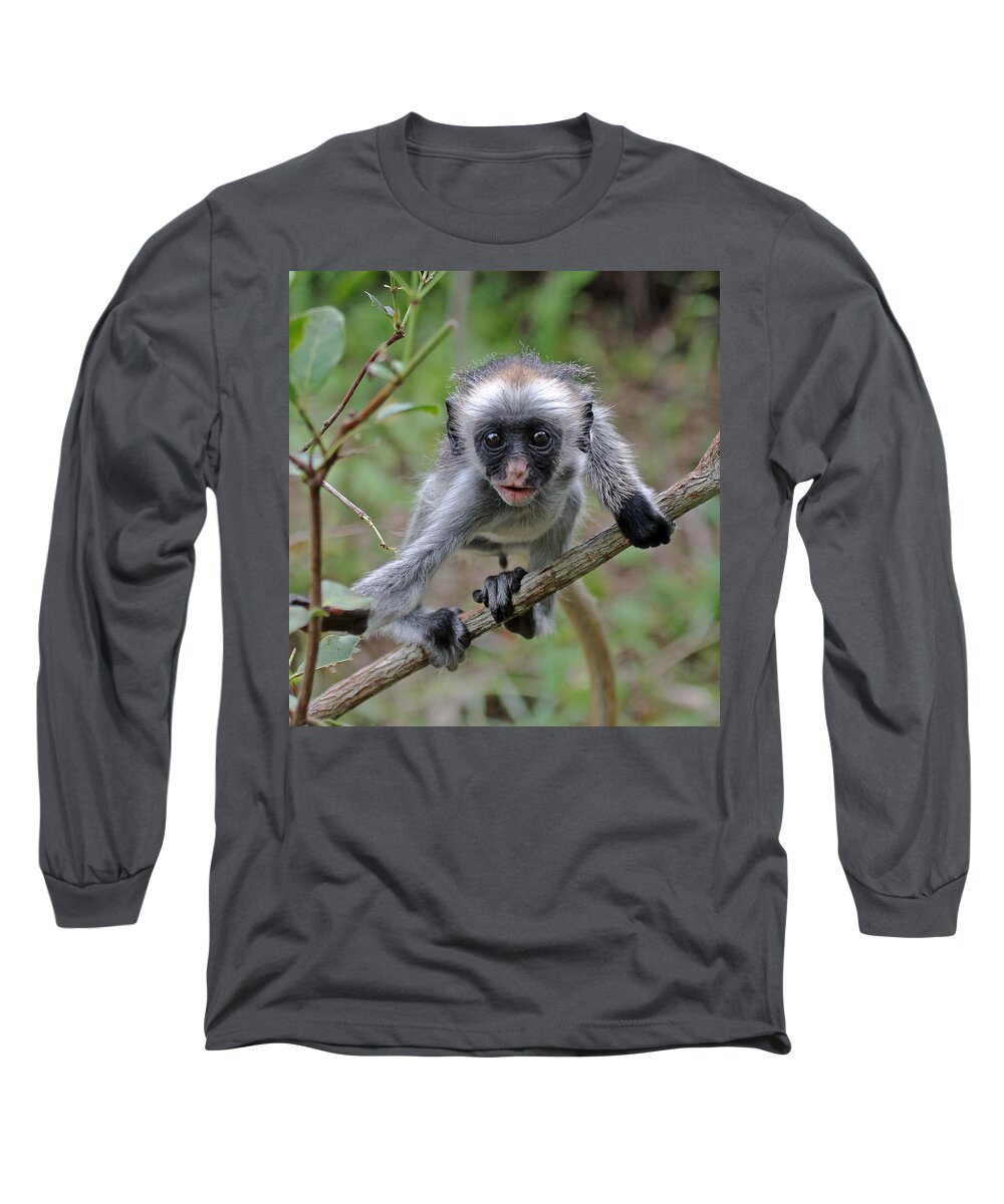 Red Colobus Long Sleeve T-Shirt featuring the photograph Baby Red Colobus Monkey by Tony Murtagh