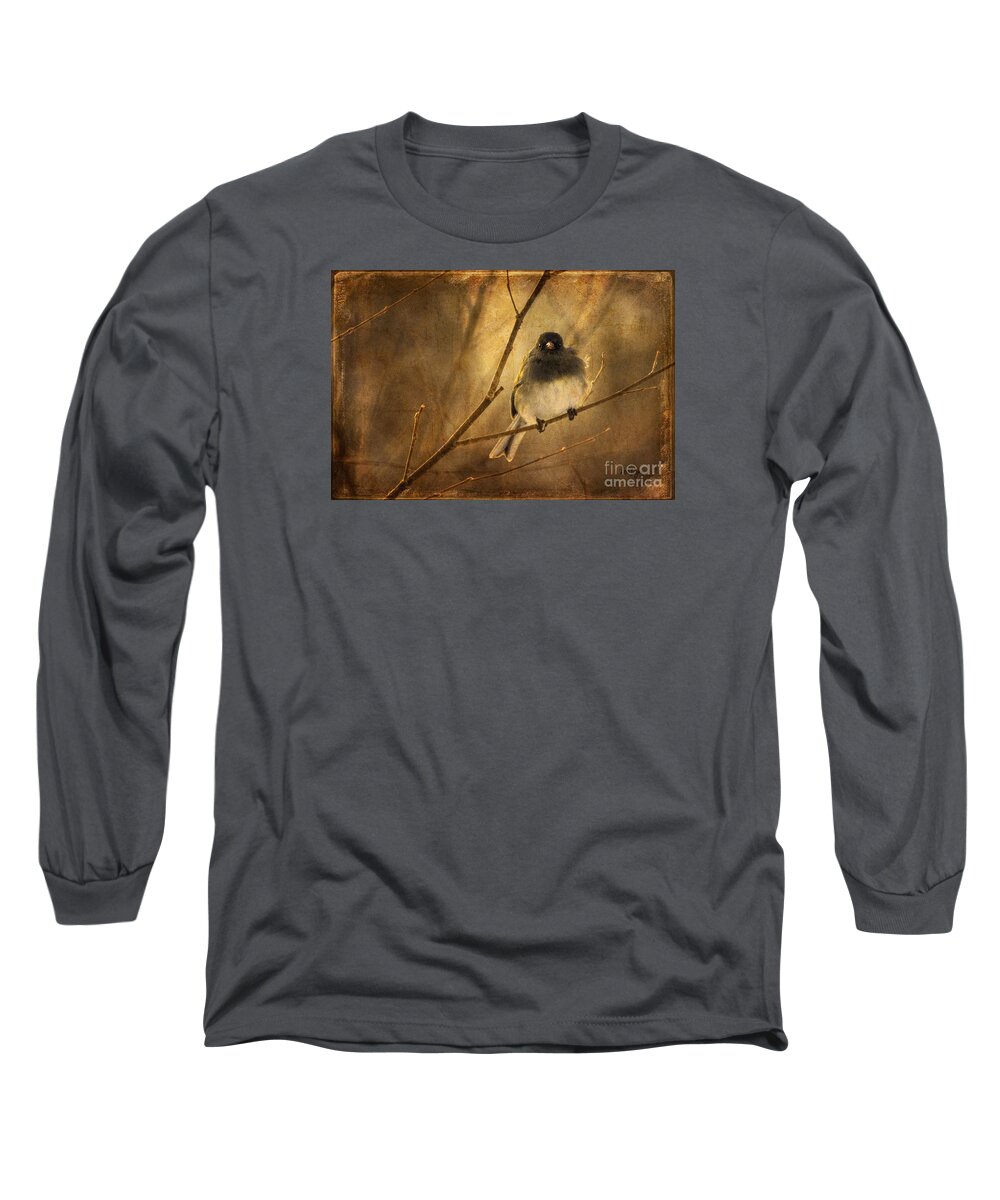 Bird Long Sleeve T-Shirt featuring the photograph Backlit Birdie Being Buffeted by Lois Bryan