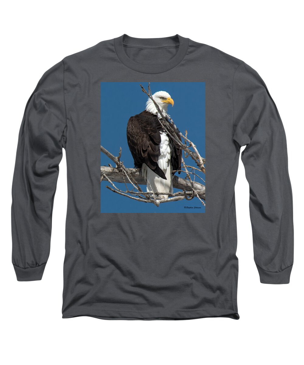 American Bald Eagle Long Sleeve T-Shirt featuring the photograph Bald Eagle Putting on the Ritz by Stephen Johnson