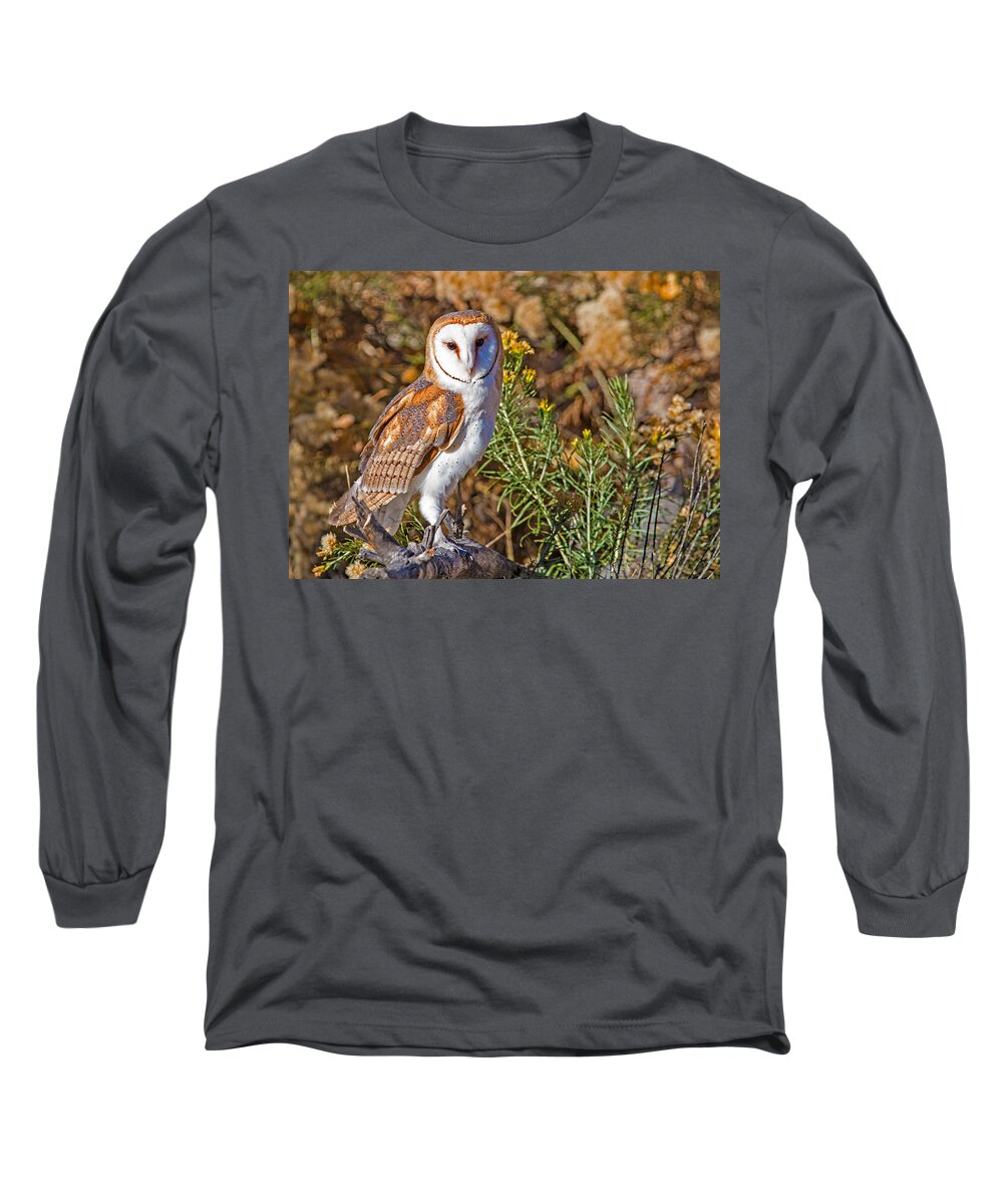 Barn Owl Long Sleeve T-Shirt featuring the photograph Barn Owl Perched by Dawn Key