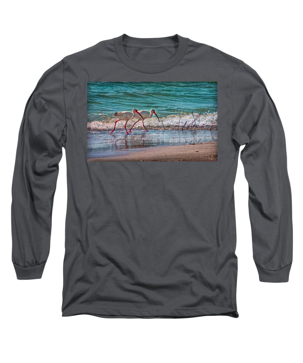 Ibisse Long Sleeve T-Shirt featuring the photograph Beach Jogging in Twos by Hanny Heim