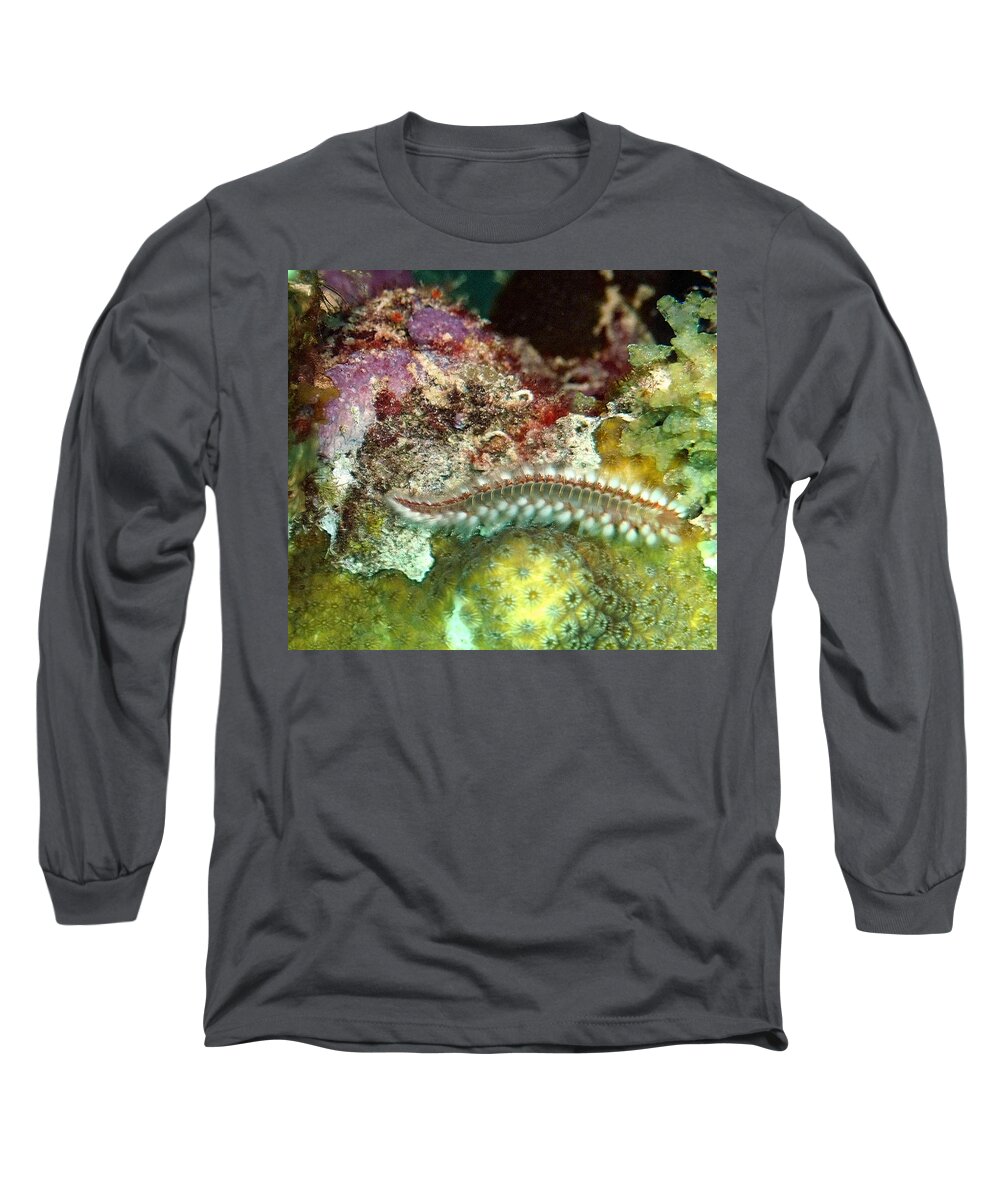 Nature Long Sleeve T-Shirt featuring the photograph Bearded Fireworm on Rainbow Coral by Amy McDaniel