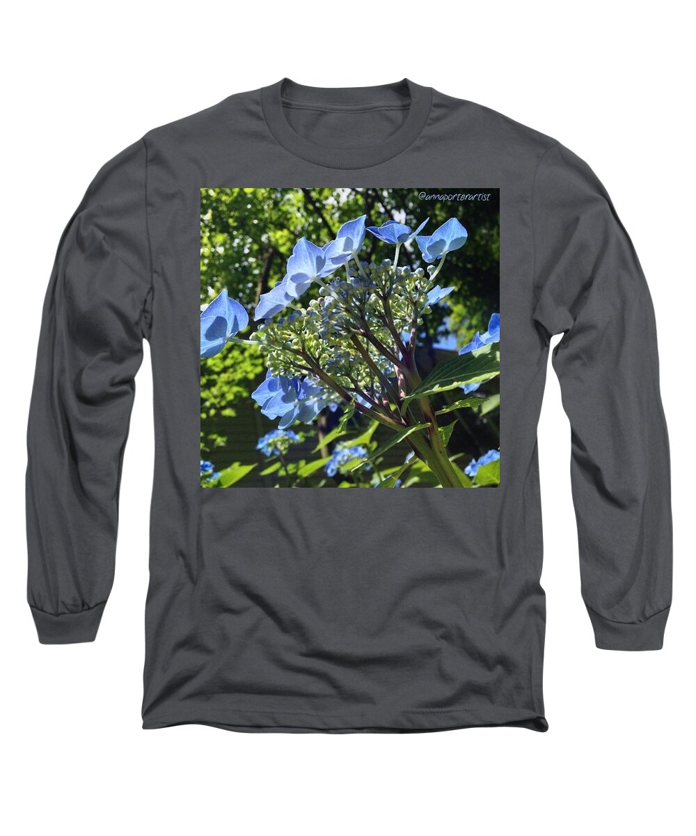 Annasgardens Long Sleeve T-Shirt featuring the photograph Beautiful Blues And Morning Light by Anna Porter