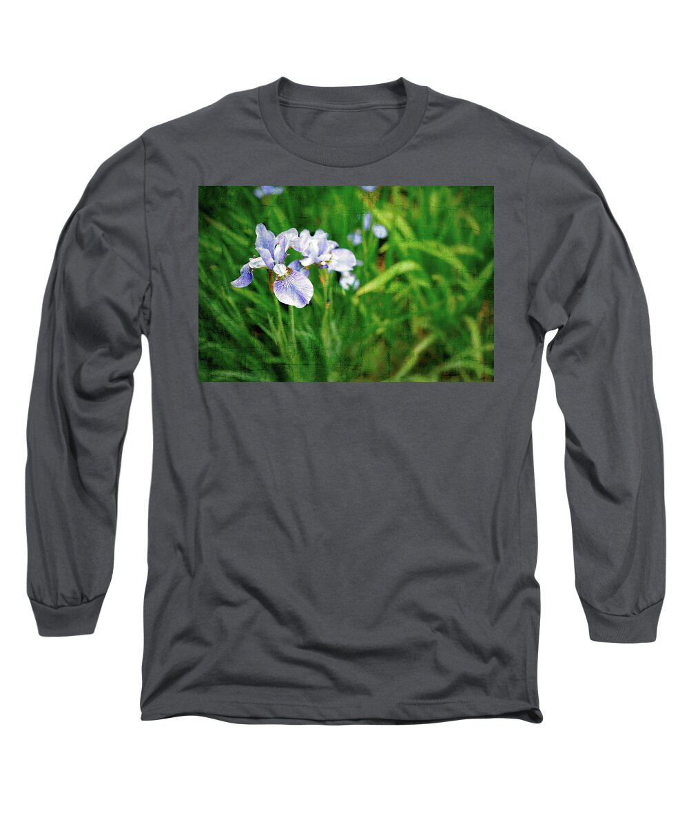 Iris Long Sleeve T-Shirt featuring the photograph Beautiful Louisiana Hybrid Iris by Marianne Campolongo