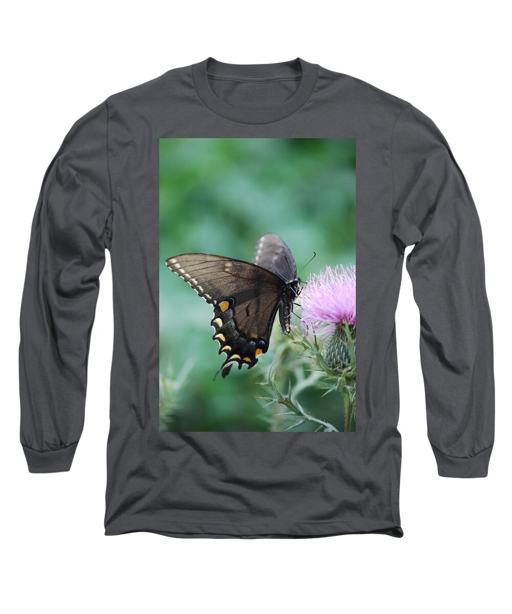 Butterfly Long Sleeve T-Shirt featuring the photograph Beauty and Thistle by Eric Liller