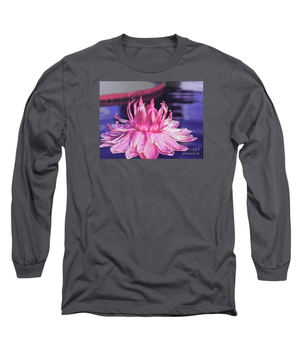 Photography Long Sleeve T-Shirt featuring the photograph Beauty of Pink at the NY Botanical Gardens by Chrisann Ellis