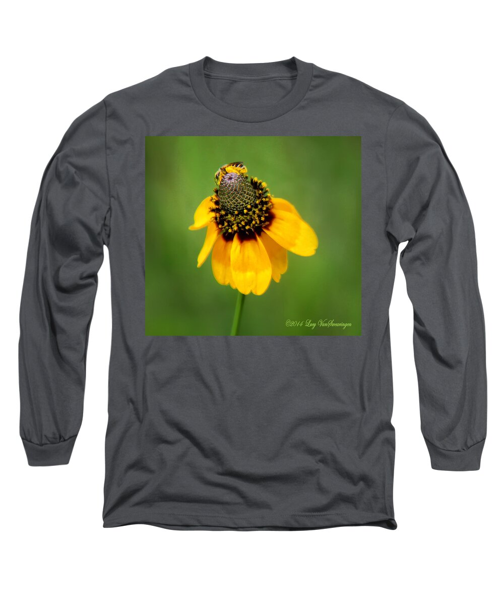 Bee Long Sleeve T-Shirt featuring the photograph Bee My Coneflower by Lucy VanSwearingen
