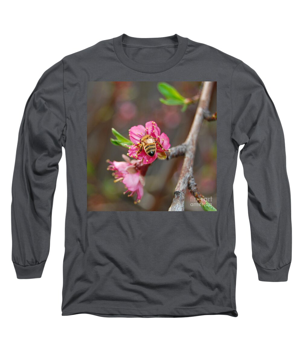 Bee Long Sleeve T-Shirt featuring the photograph Beehind by Debra Thompson