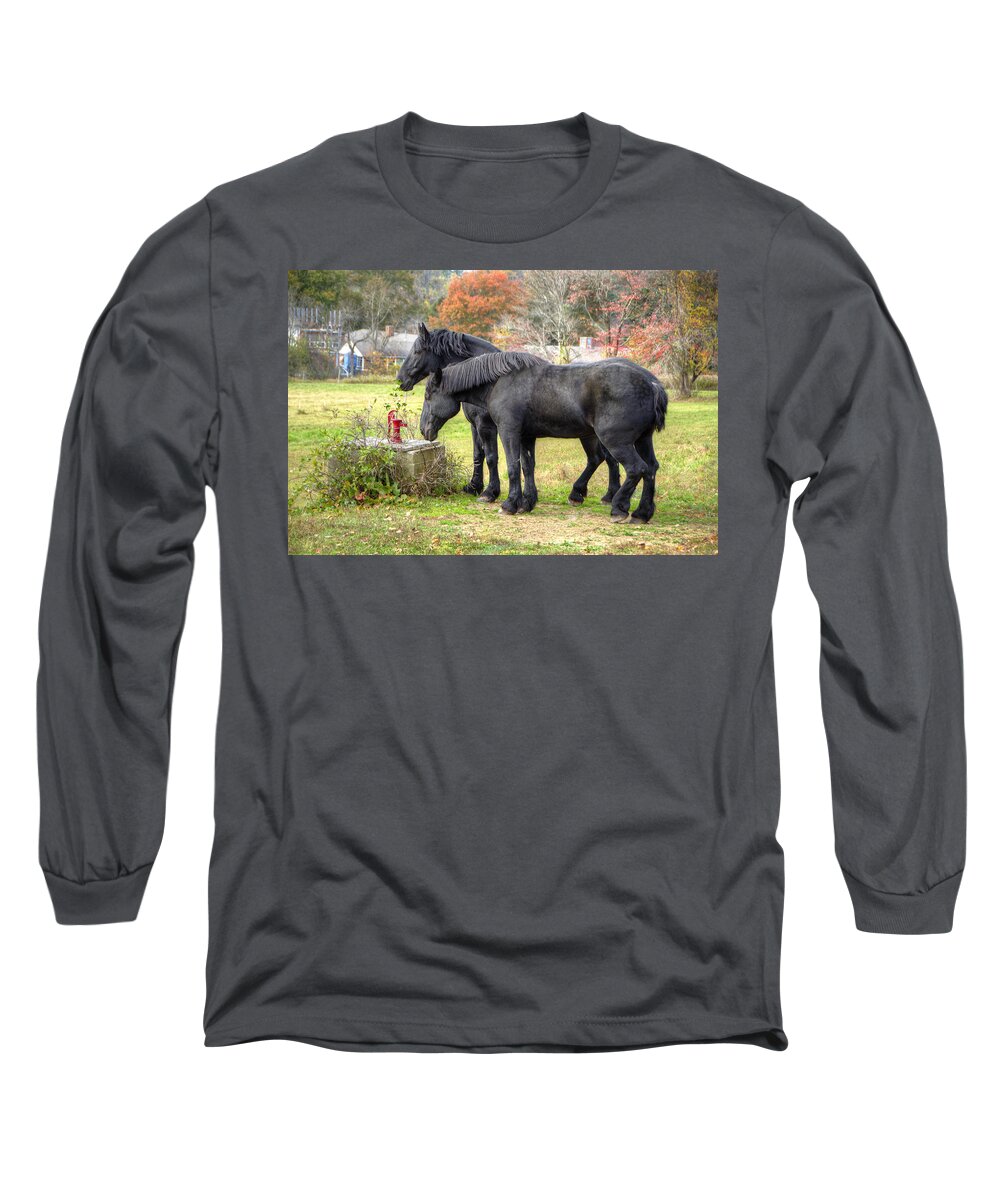 Horse Long Sleeve T-Shirt featuring the photograph Best Friends by Donna Doherty