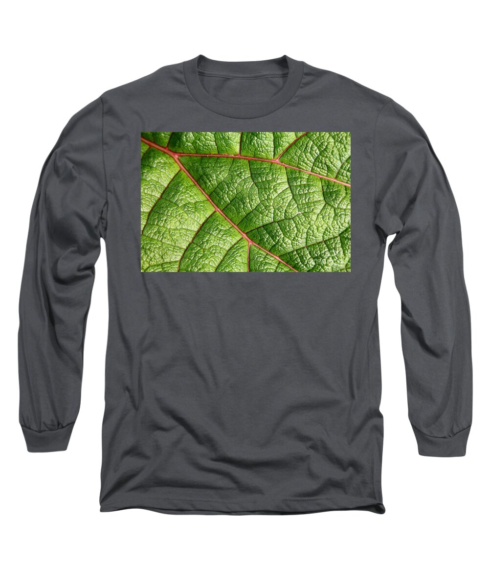 Plant Long Sleeve T-Shirt featuring the photograph Big Green Leaf 5D22460 by Wingsdomain Art and Photography