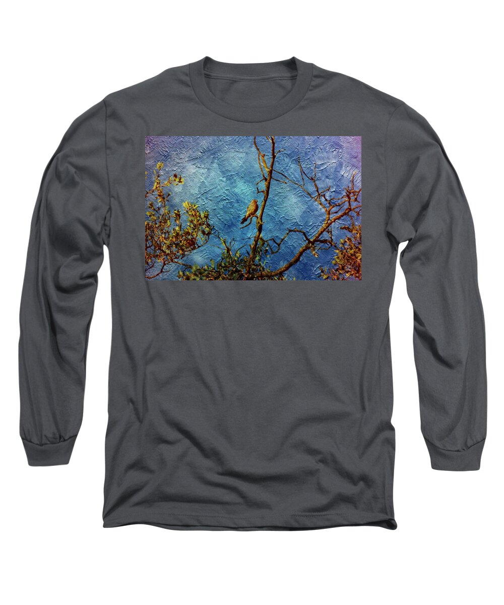 Birds Long Sleeve T-Shirt featuring the photograph Bird as a painting by Karl Rose