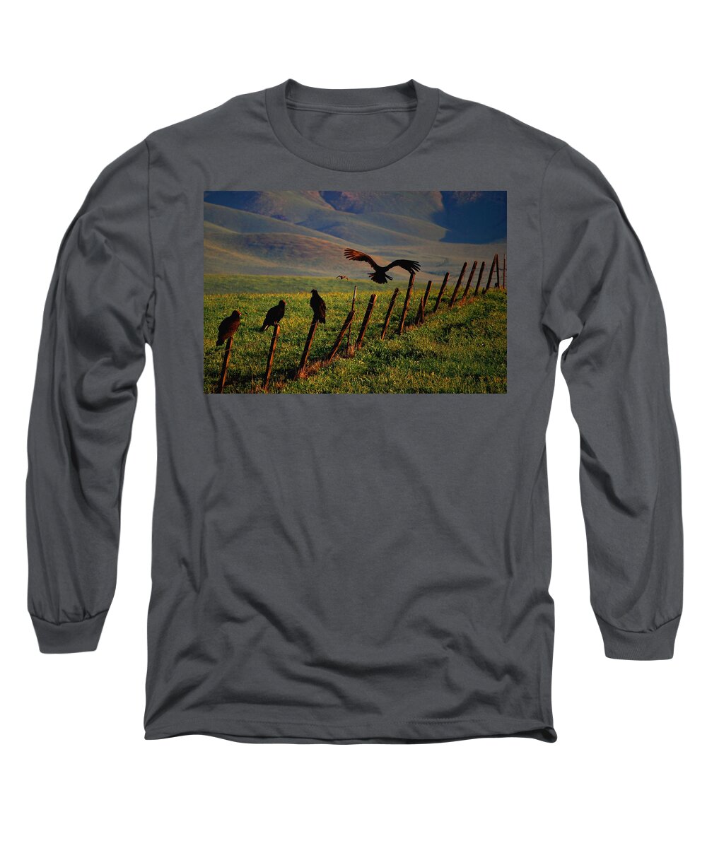 Birds Long Sleeve T-Shirt featuring the photograph Birds on a Fence by Matt Quest