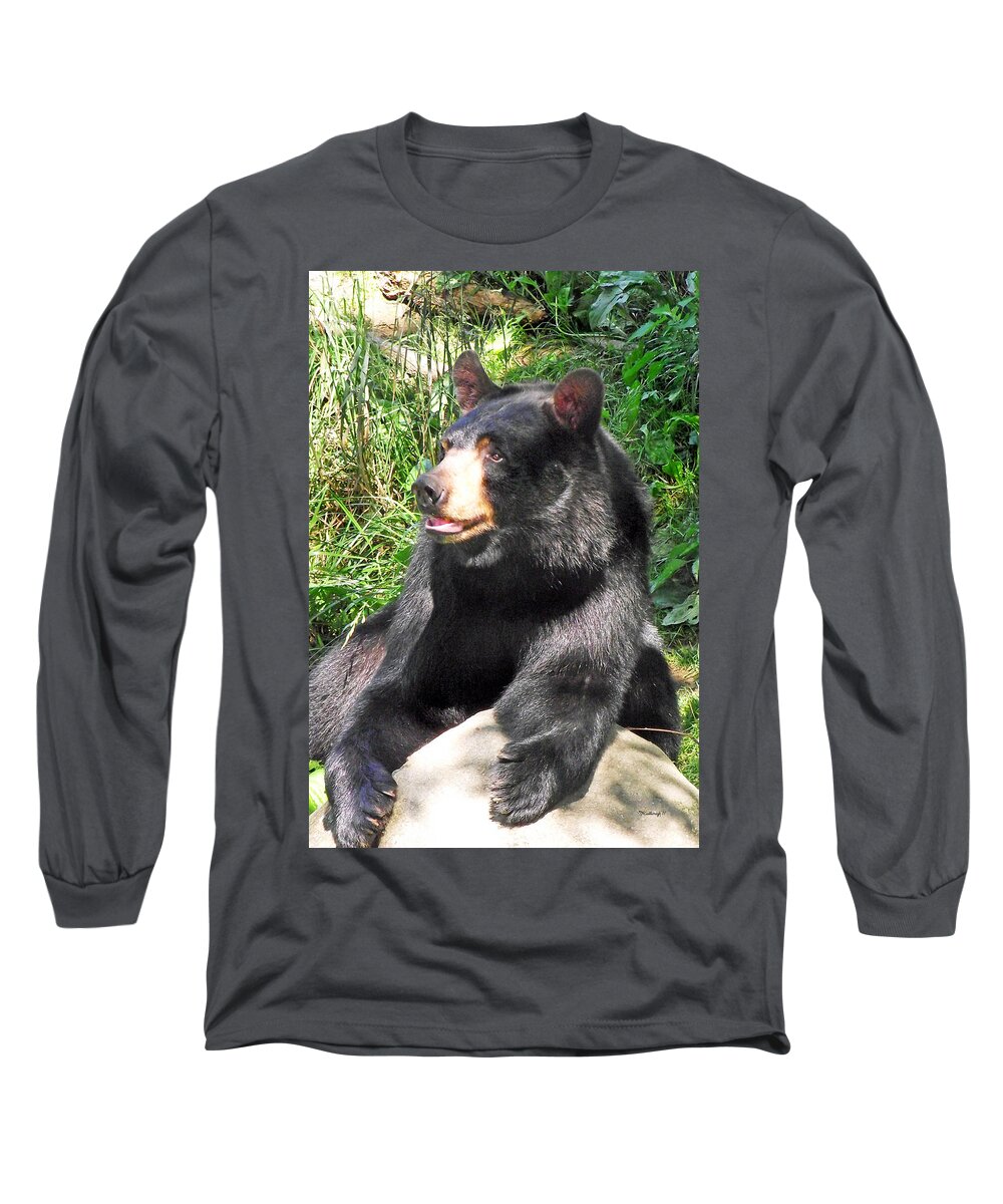 Duane Mccullough Long Sleeve T-Shirt featuring the photograph Black Bear by Duane McCullough