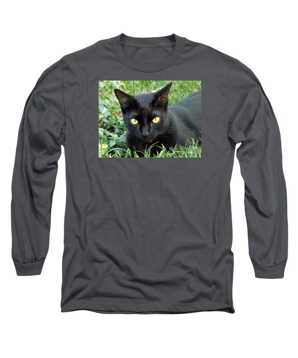 Animal Long Sleeve T-Shirt featuring the photograph Black Cat by Lingfai Leung