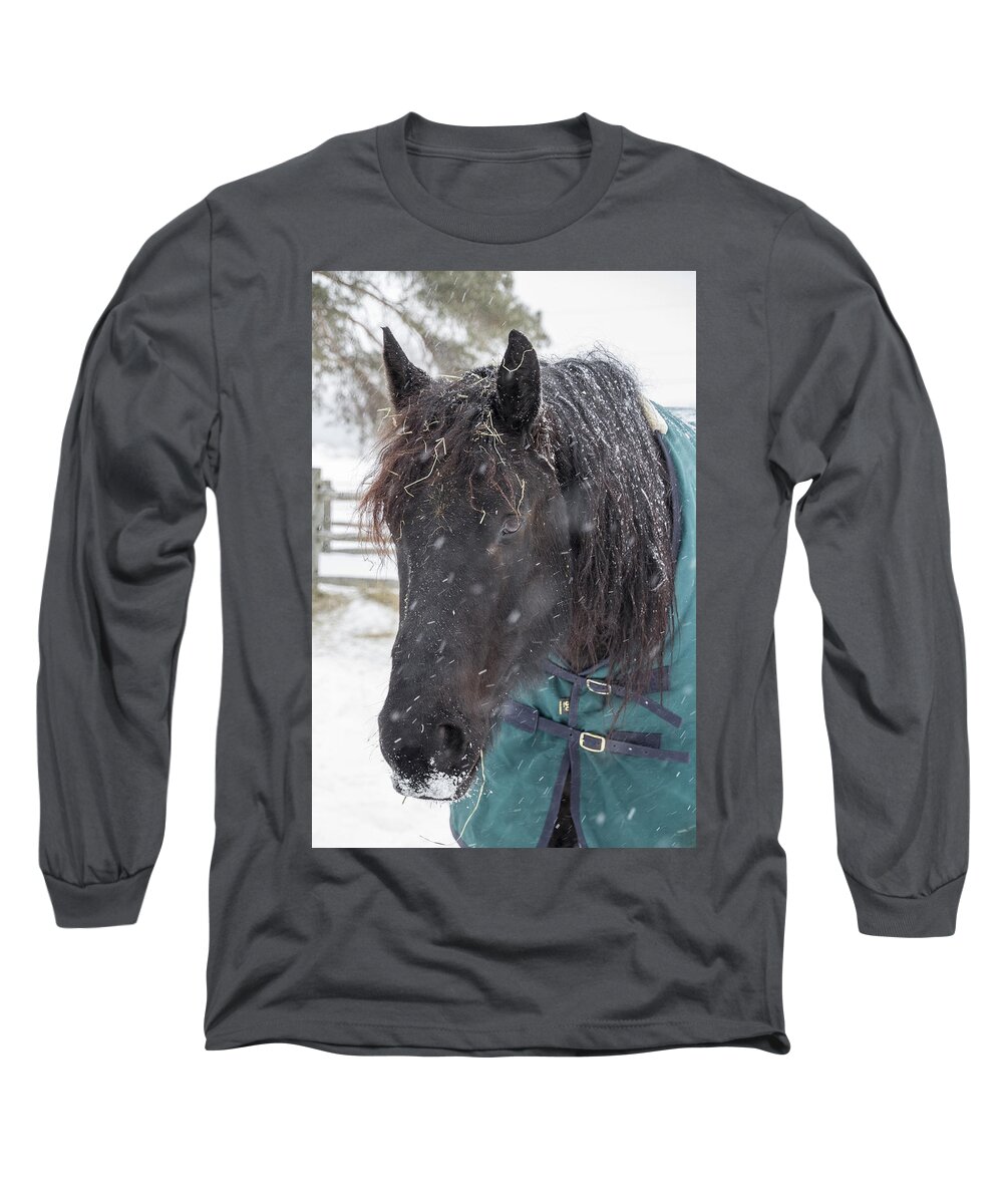 Horse Long Sleeve T-Shirt featuring the photograph Black Horse in Snow by Joann Long