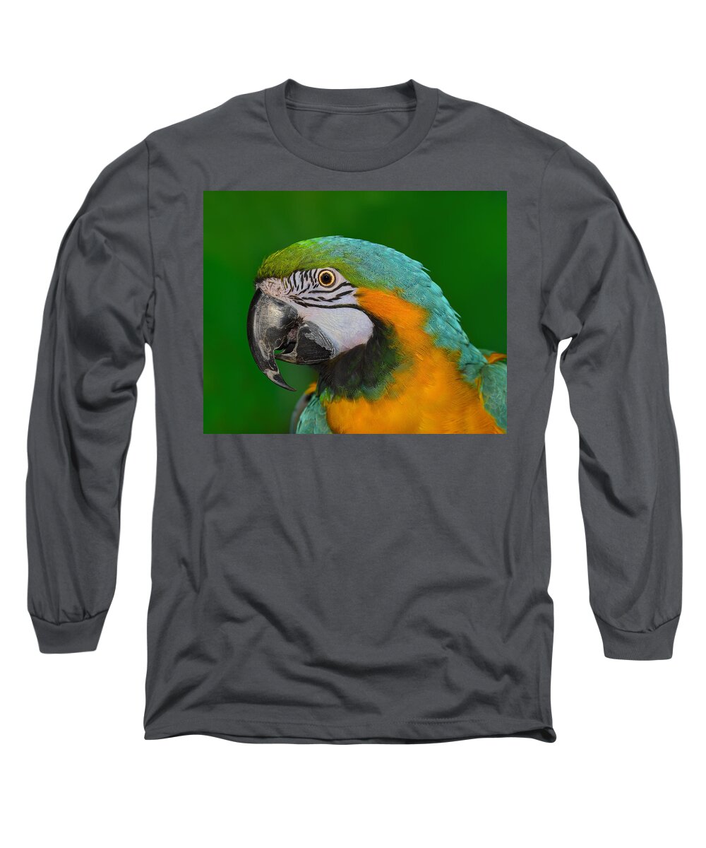 Blue-and-yellow Macaw Long Sleeve T-Shirt featuring the photograph Blue and Gold Macaw by Tony Beck