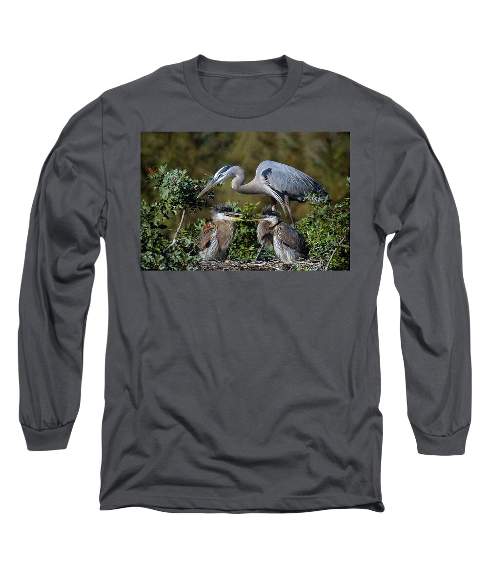 Venice Rookery Long Sleeve T-Shirt featuring the photograph Blue Heron Family by Ram Vasudev