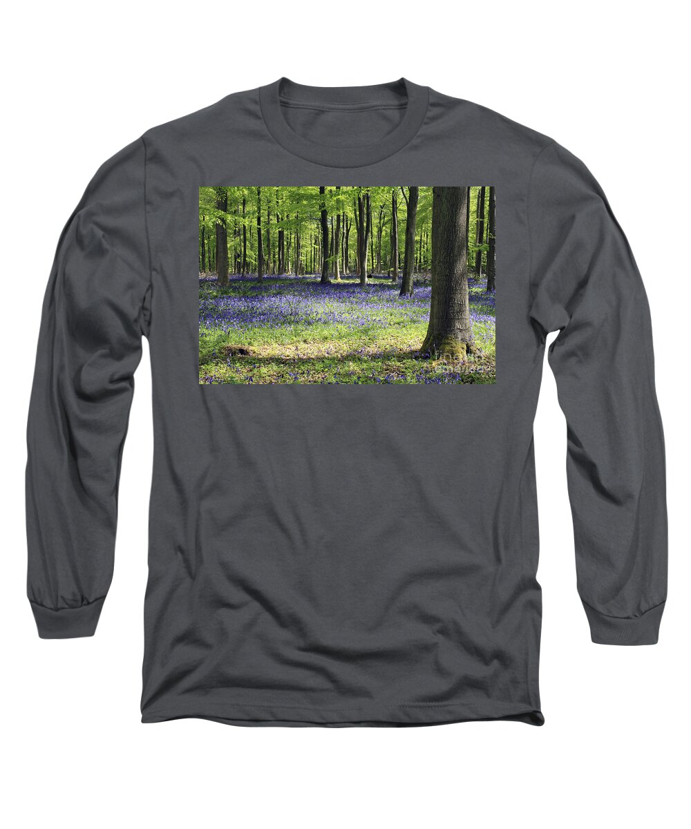 Bluebell Wood Uk Bluebells Forest Beech Tree Trees English Landscape Countryside Woodland Spring Summer Surrey Long Sleeve T-Shirt featuring the photograph Bluebell Wood UK by Julia Gavin