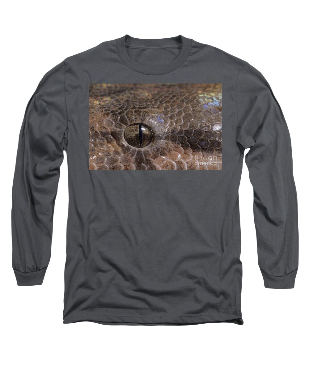 Animal Long Sleeve T-Shirt featuring the photograph Boa Constrictor by Chris Mattison FLPA 