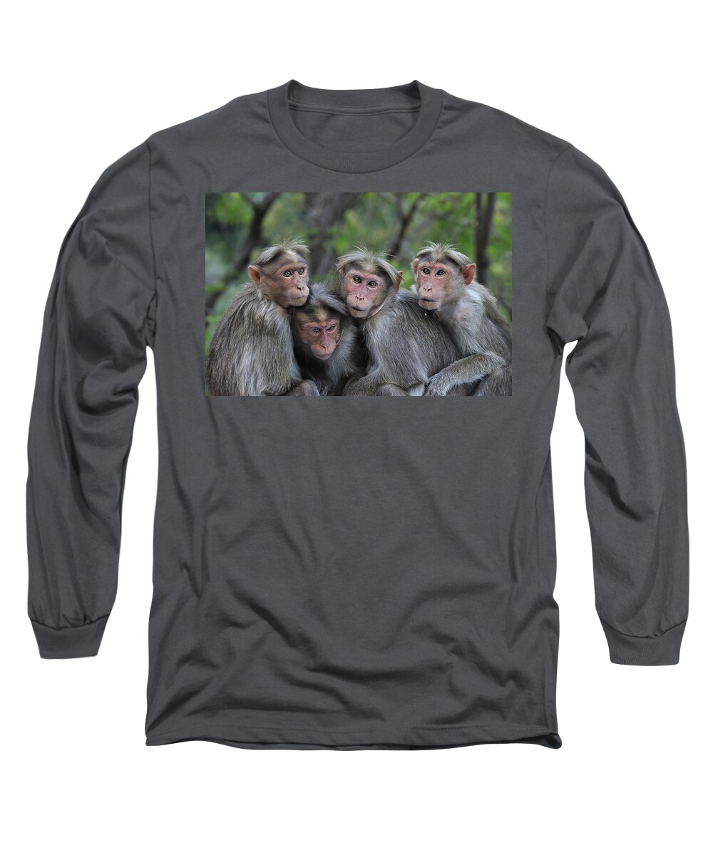Thomas Marent Long Sleeve T-Shirt featuring the photograph Bonnet Macaques Huddling India by Thomas Marent