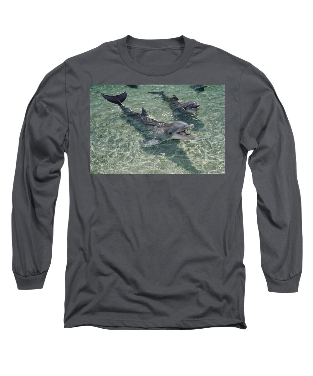 Feb0514 Long Sleeve T-Shirt featuring the photograph Bottlenose Dolphin In Shallow Lagoon by Flip Nicklin