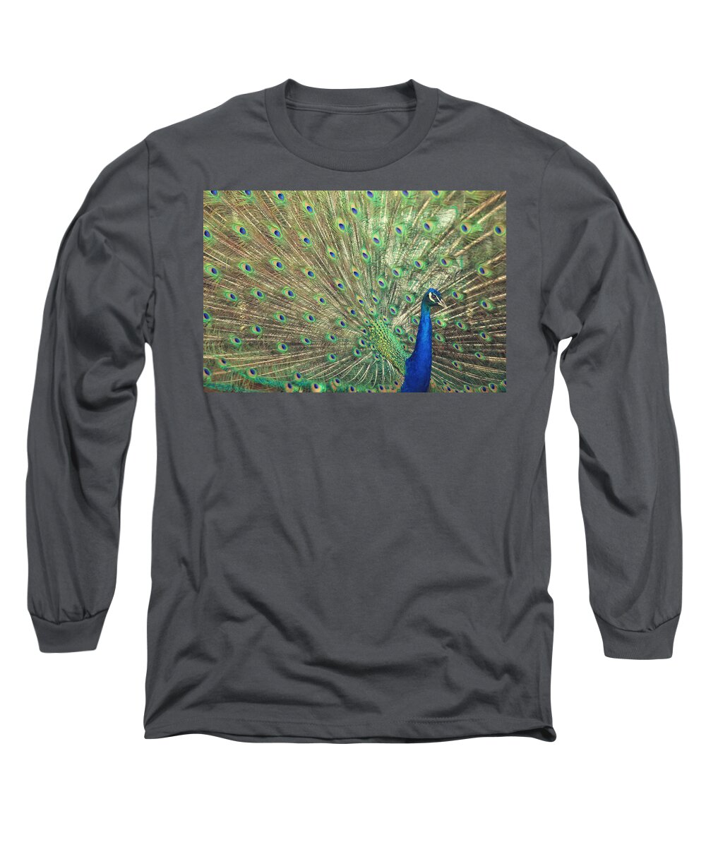 Green Long Sleeve T-Shirt featuring the photograph Brilliant Beautiful Backdrop by Carrie Ann Grippo-Pike