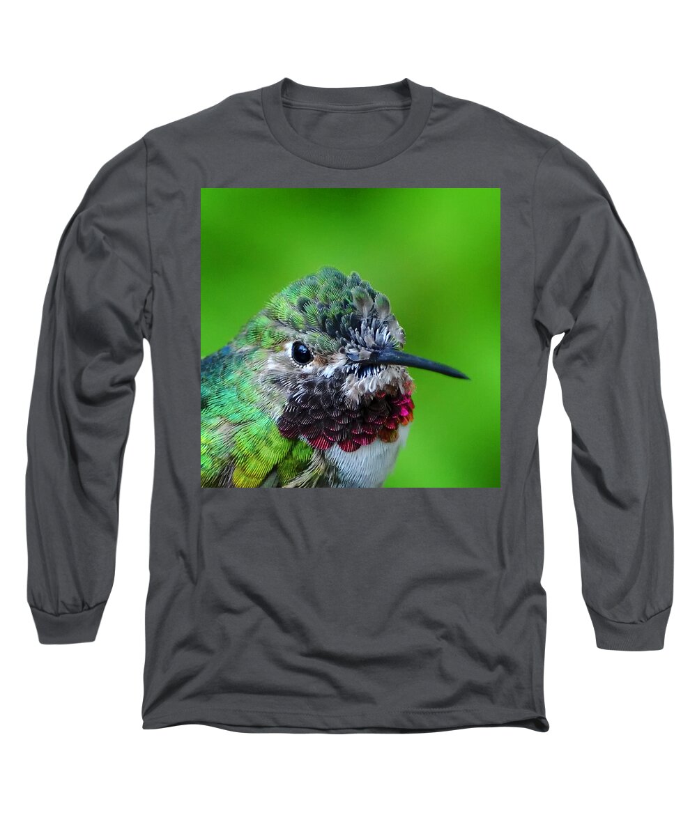 Hummingbird Long Sleeve T-Shirt featuring the photograph Broad-Tail Portrait by Evelyn Harrison