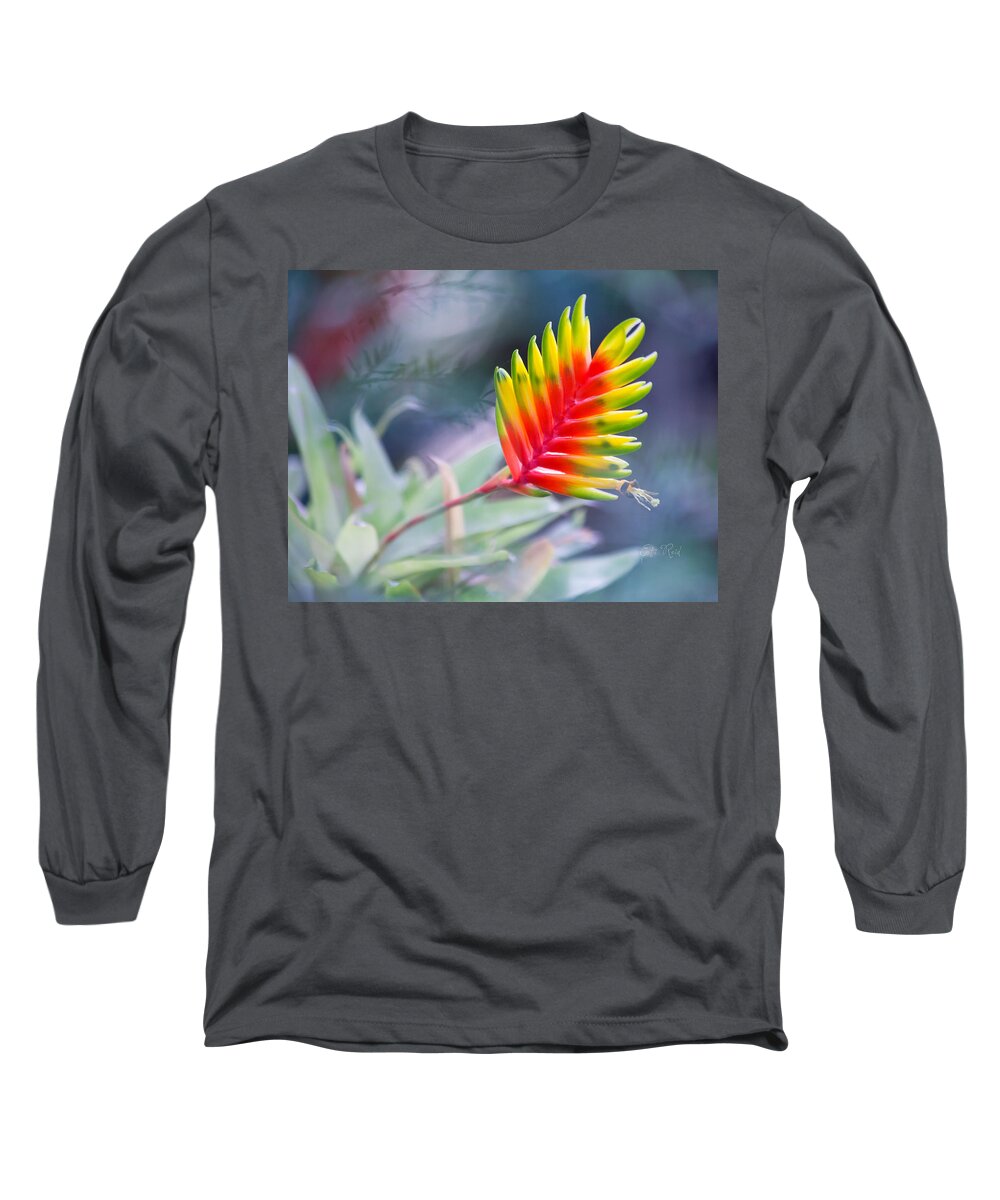 Bromeliad Long Sleeve T-Shirt featuring the photograph Bromeliad beauty by Eti Reid