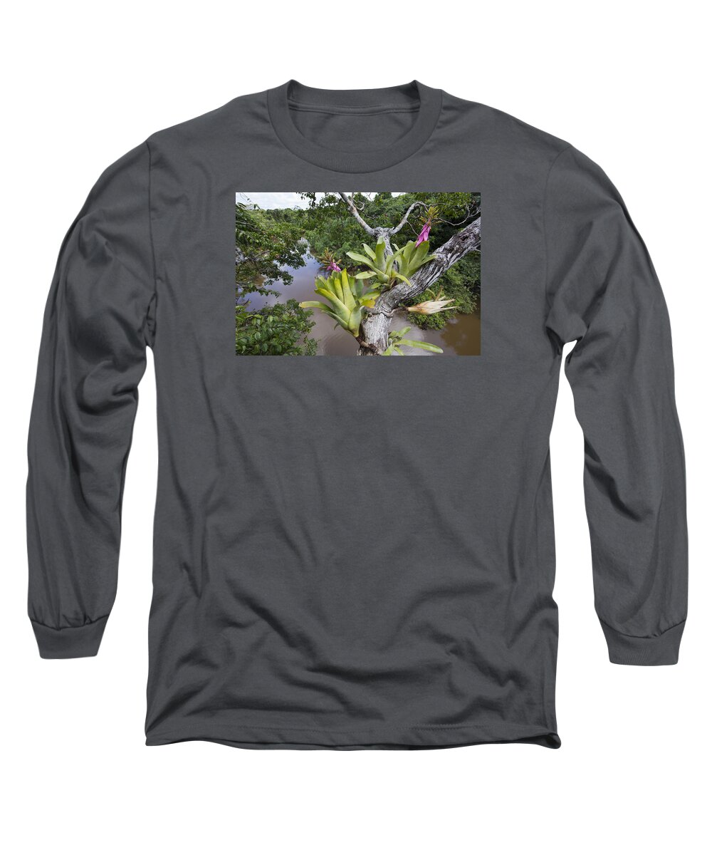 Cyril Ruoso Long Sleeve T-Shirt featuring the photograph Bromeliad Pair Flowering Pacaya Samiria by Cyril Ruoso