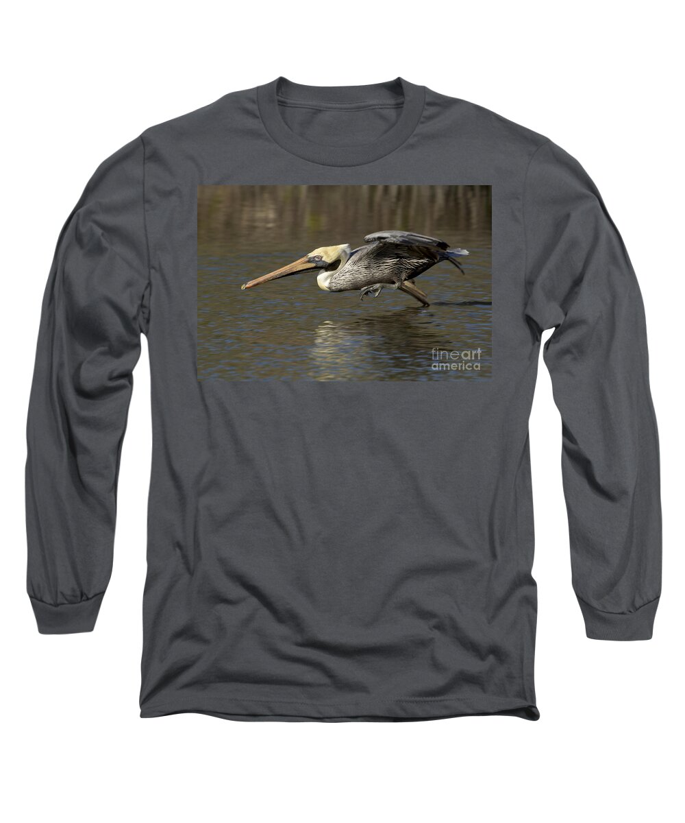 Flight Long Sleeve T-Shirt featuring the photograph Brown Pelican Fishing Photo by Meg Rousher